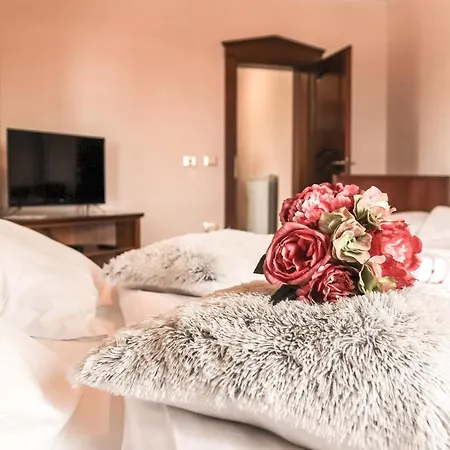 Leonarda 波尔托罗