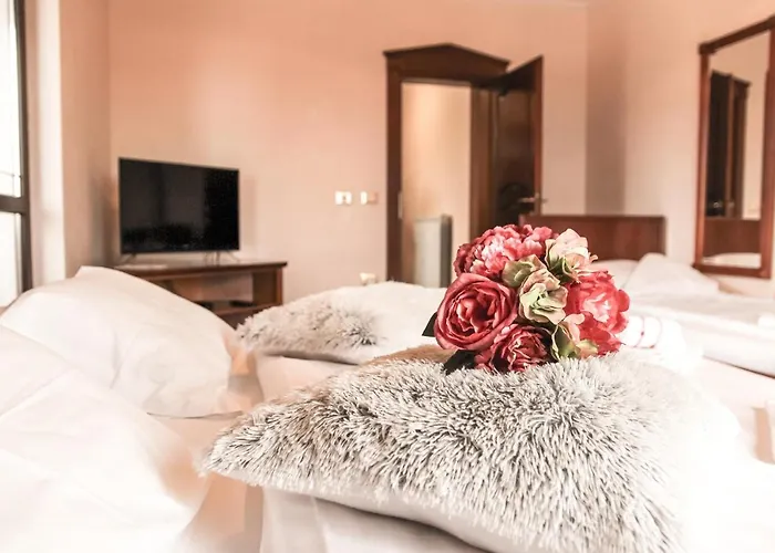 Leonarda 波尔托罗